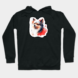 Cute Pomeranian Hoodie